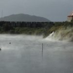 Thermal Sprigs