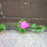 When Karma Comes to Call